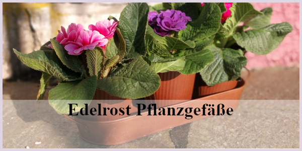 Edelrost Pflanzgefäße
