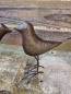 Preview: 3er Set Vögel, dunkelbraun lackiert