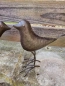 Preview: 3er Set Vögel, dunkelbraun lackiert