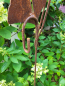 Preview: Edelrost Ampelhalter Ginkgoblatt