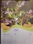 Preview: Angels Garden Jahreskalender 2027