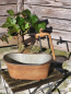 Preview: Pflanzwanne mit Wasserhahn, braun rustikal