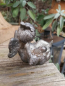 Preview: Gartenstecker Elfenkind liegend, aus Resin