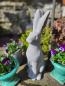 Preview: Zement Hase Hoppel, Blick nach vorne