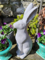 Preview: Zement Hase Hoppel, Blick nach vorne