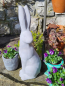 Preview: Zement Hase Krümel, Blick zur Seite