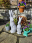 Preview: Zement Hase Hoppel, Blick nach vorne
