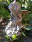 Preview: Blumenfee Heilkraut