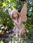 Preview: Blumenfee Schwertlilie