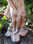 Preview: Blumenfee Schwertlilie