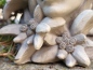 Preview: Blumenkind Edelweiss aus Resin