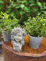 Preview: Blumenkind Element der Erde