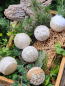 Preview: Boho Christbaumkugel Himal, mit Herzspitze