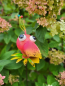 Preview: Hippie Stecker Papagei Daisy, pink