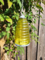 Preview: Boho LED Glaswindlicht, 3 Farben