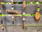 Preview: Boho Mobile Wood, Holzscheiben