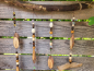 Preview: Boho Mobile Wood, Holzscheiben