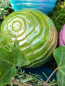 Preview: Hippie-Boho Christbaumkugel-Mix, 4er-Set, bunt