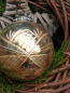 Preview: Christbaumkugel Amaranja Raute, altgold