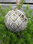 Preview: Christbaumkugel Mailo Due Blatt, creme-gold