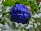Preview: Hippie-Boho Christbaumkugel-Mix 4, Purple