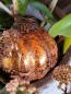 Preview: Hippie-Boho Christbaumkugel-Mix 3, Zitrus