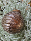 Preview: Hippie-Boho Christbaumkugel-Mix 2, dezent