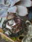 Preview: Hippie-Boho Christbaumkugel-Mix 2, dezent