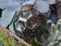 Preview: Hippie-Boho Christbaumkugel-Mix 2, dezent