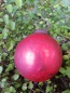 Preview: Christbaumkugel Crackle, antik rot
