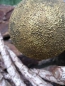 Preview: Christbaumkugel aus Glas, Markov, antikgold