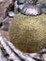 Preview: Christbaumkugel aus Glas, Markov, antikgold