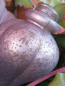 Preview: Christbaumkugel Zapfen Zipala, antikgrau