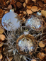 Preview: Christbaumkugel Glitzerstern, gold