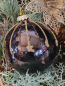 Preview: Christbaumkugel Meyra Stern oben, schwarz-gold
