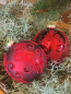 Preview: Christbaumkugel Oriana, Ornament Blüte glänzend, rot