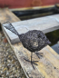 Preview: Drahtvogel Amira, schwarz