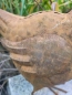 Preview: Edelrost 3D Henne