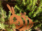 Preview: Edelrost Beetstecker dicke Aggro Biene