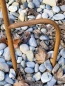 Preview: Edelrost Blume Allium (Kugellauch) 3D, verblüht