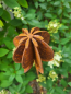Preview: Edelrost Gartenstecker Amy, runde Kapsel