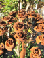 Preview: Edelrost Blume Amelie