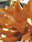 Preview: Edelrost Blume Annalena