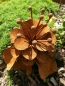 Preview: Edelrost Blume "Camilla"