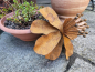 Preview: Edelrost Blume Camilla