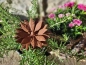 Preview: Edelrost Blume Claire, klein