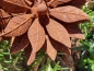 Preview: Edelrost Blume Claire, klein
