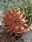 Preview: Edelrost Blume Electra, klein