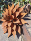 Preview: Edelrost Blume Kimani