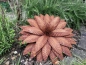 Preview: Edelrost Blume Octavia